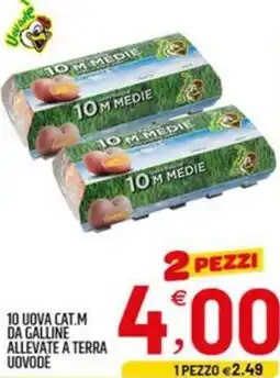 Ard Discount 10 uova cat.m da galline allevate a terra UOVODE offerta