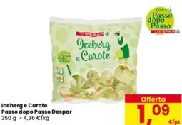 Eurospar Iceberg e Carote Passo dopo Passo Despar offerta