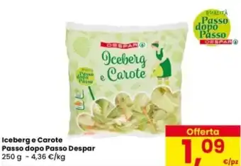 Iceberg e Carote Passo dopo Passo Despar