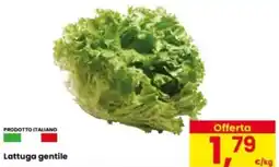 Eurospar Lattuga gentile offerta
