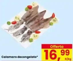 Eurospar Calamaro decongelato offerta