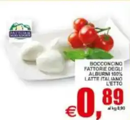 Pewex Bocconcino fattorie degli alburni 100% latte italiano offerta