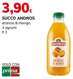 Basko Succo ANDROS offerta