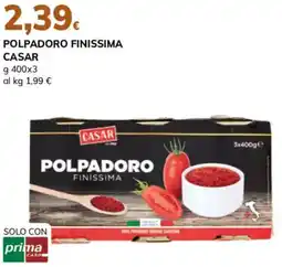 Basko Polpadoro finissima CASAR offerta