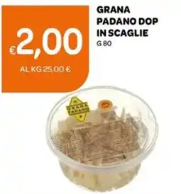 Ekom Grana padano DOP in scaglie offerta