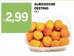 Ekom Albicocche cestino offerta