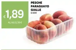 Ekom Pesche paraguayo gialle offerta