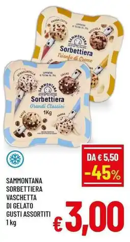 A&O Sammontana sorbettiera vaschetta di gelato offerta