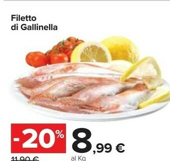 Filetto di gallinella