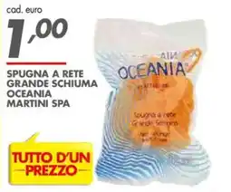 Italmark Spugna a rete grande schiuma oceania martini spa offerta