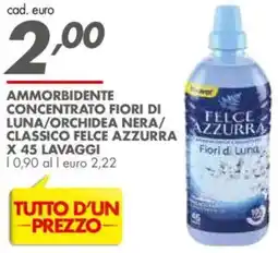 Italmark Ammorbidente concentrato fiori di luna/orchidea nera/ classico FELCE AZZURRA offerta
