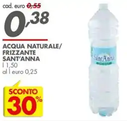 Italmark Acqua naturale/ frizzante SANT'ANNA offerta