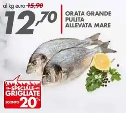Italmark Orata grande pulita allevata mare offerta
