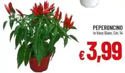 Galassia Peperoncino offerta