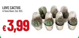 Galassia Love cactus offerta