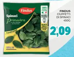 Eté Findus ciuffetti di spinaci offerta