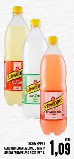 Al Discount Schweppes agrumi/cedrata/lime e mint/ limone/pompelmo rosa pet offerta