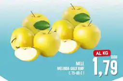 Al Discount Melinda gold rinf offerta