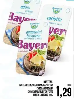 Al Discount Bayernl mozzarella/scamorza/caciotta/ cheddare/edan/ emmental/tilsiter fette senza lattosio offerta