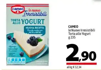 A&O CAMEO le Nuove Irresistibili Torta allo Yogurt offerta