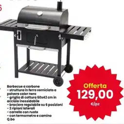 Interspar Barbecue a carbone offerta