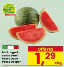 Interspar Mini anguria senza semi Passo Dopo Passo Despar offerta