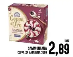 Al Discount Sammontana coppa x4 amarena offerta