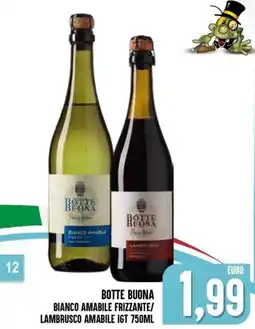 Al Discount Botte buona bianco amabile frizzante/ lambrusco amabile igt offerta
