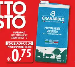 Deco Superstore Granarolo latte parzialmente scremato brick offerta