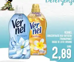 Al Discount Vernel concentrato blu oxygen/ frangipane/ sogni di loto offerta