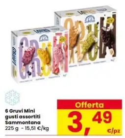 Interspar 6 Gruvi Mini Sammontana offerta