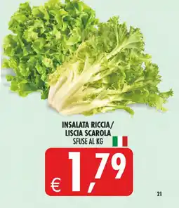 Deco Superstore Insalata riccia/ liscia scarola offerta