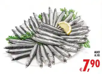 Deco Superstore Alici offerta