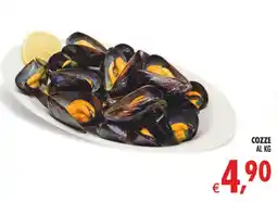 Deco Superstore Cozze offerta