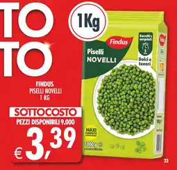Deco Superstore Findus piselli novelli offerta