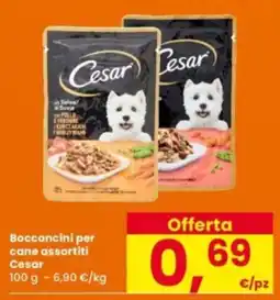Interspar Bocconcini per cane Cesar offerta