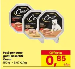 Eurospar Patè per cane gusti assortiti Cesar offerta