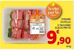 Conad SPIEDINI DI POLLO E TACCHINO SCELTE PER TE offerta