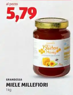 ALDI GRANDESSA MIELE MILLEFIORI offerta