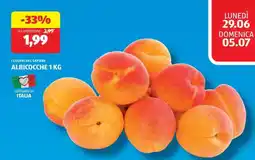 ALDI ALBICOCCHE 1 KG offerta