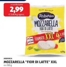 ALDI MOZZARELLA FIOR DI LATTE XXL offerta