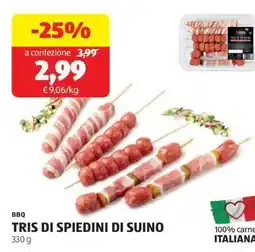 ALDI TRIS DI SPIEDINI DI SUINO offerta