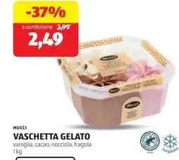 ALDI MUCCI VASCHETTA GELATO offerta