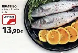 Coop Superstore Branzino offerta
