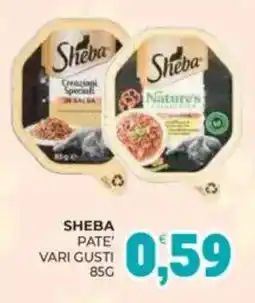 Eté Sheba pate' offerta