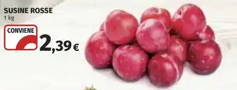 Susine rosse