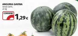 Coop Anguria gavina senza semi offerta