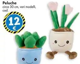 Tedi Peluche offerta