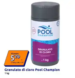 Action Granulato di cloro Pool Champion offerta