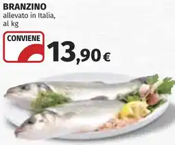 Coop Branzino offerta
